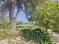 Rare Stone property with outbuildings and pool in a quiet area